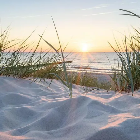 White Pearl 0.09 アパート ティメンドルファー・シュトラント