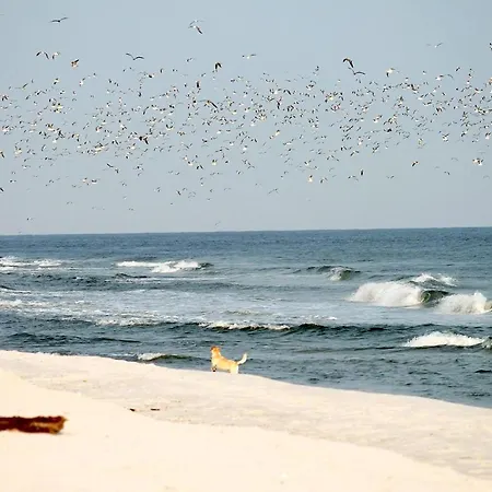 White Pearl 0.09 * ティメンドルファー・シュトラント