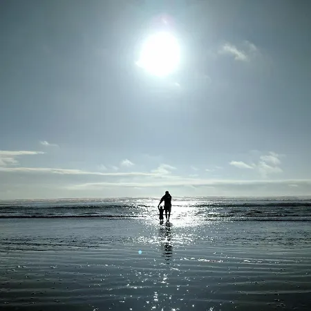 アパート White Pearl 0.09 *